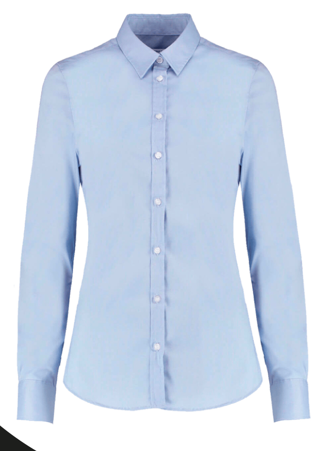 Blusa Oxford Green Team de manga larga celeste